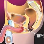 如何获取前列腺高潮?